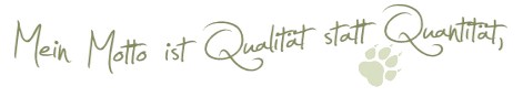 mein Motto ist Qualität statt Quantität mein Motto ist Qualität statt Quantität